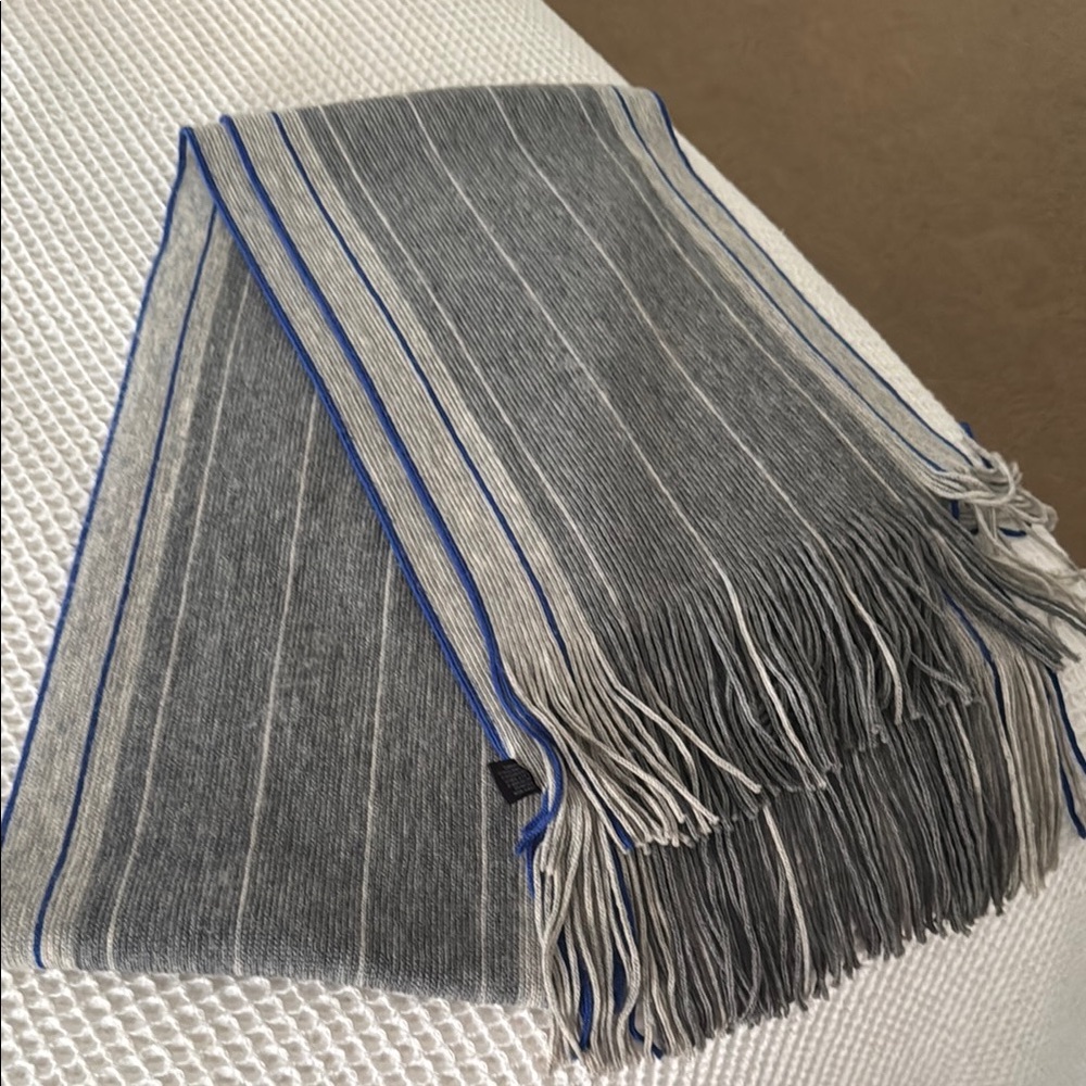Express Gray and Blue Striped Scarf with Fringe